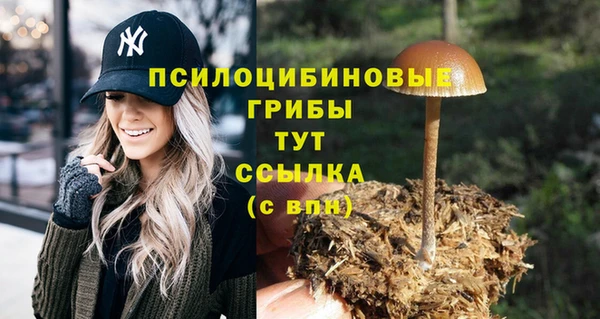 герыч Арсеньев