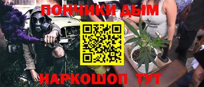 индика Дубна