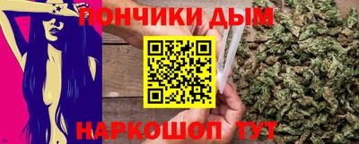 индика Дубна