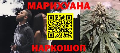 индика Дубна