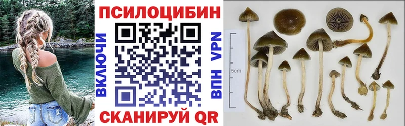 Псилоцибиновые грибы MAGIC MUSHROOMS  Магадан 