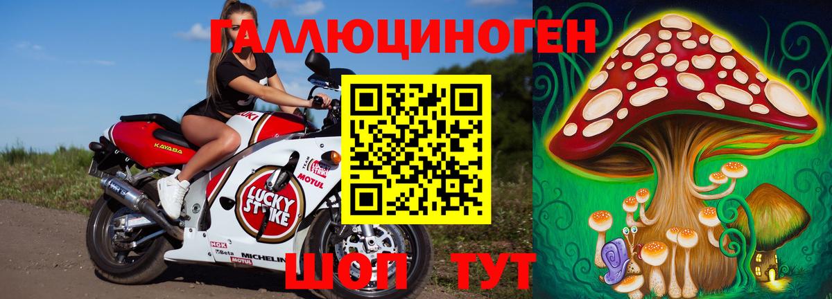 Магадан  Галлюциногенные грибы Psilocybine cubensis  Вход с VPN 